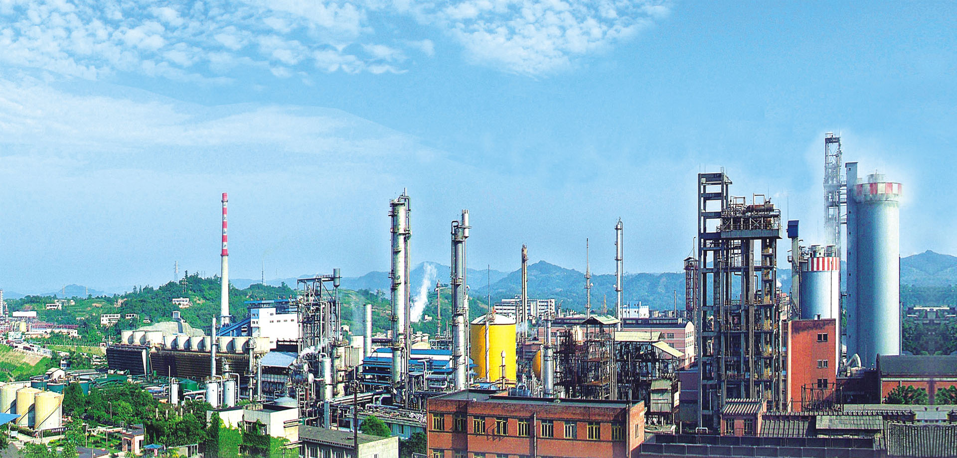 國肥行動 | 專訪瀘天化九禾馮學寧 緊跟時代步伐，勇立創新潮頭