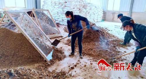 沃土富民路，生態高橋村 發展有機肥料產業，書寫鄉村振興新篇章